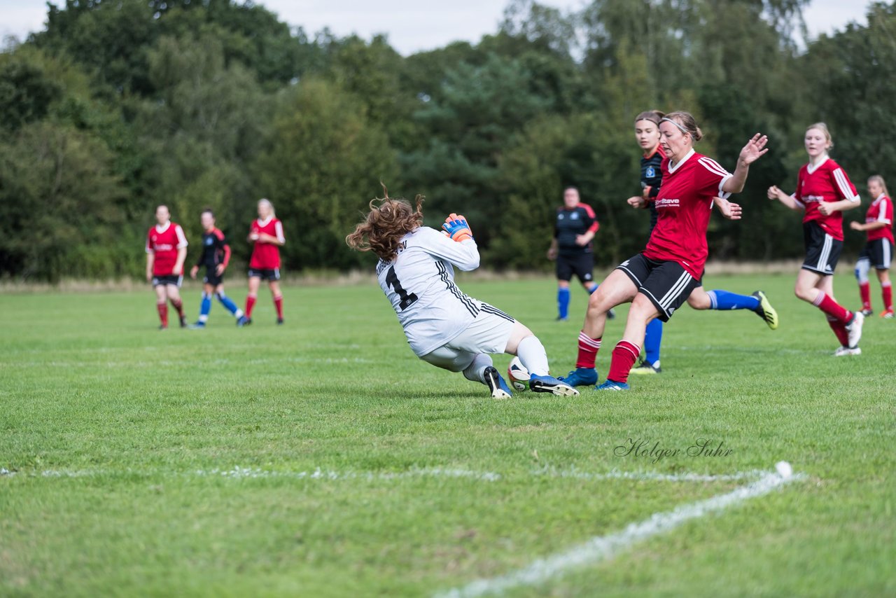 Bild 297 - Frauen SG NieBar - HSV 2 : Ergebnis: 4:3